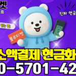 소액결제 정책: 스마트폰 속